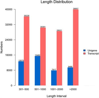 Differentially expressed genes in head kidney of Pelteobagrus fulvidraco following Vibrio cholerae challenge